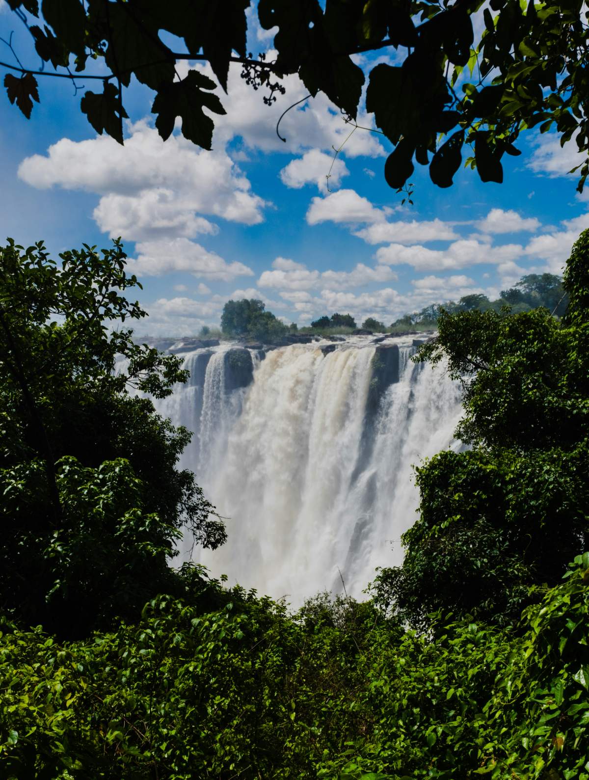 Sudáfrica y Cataratas Victoria